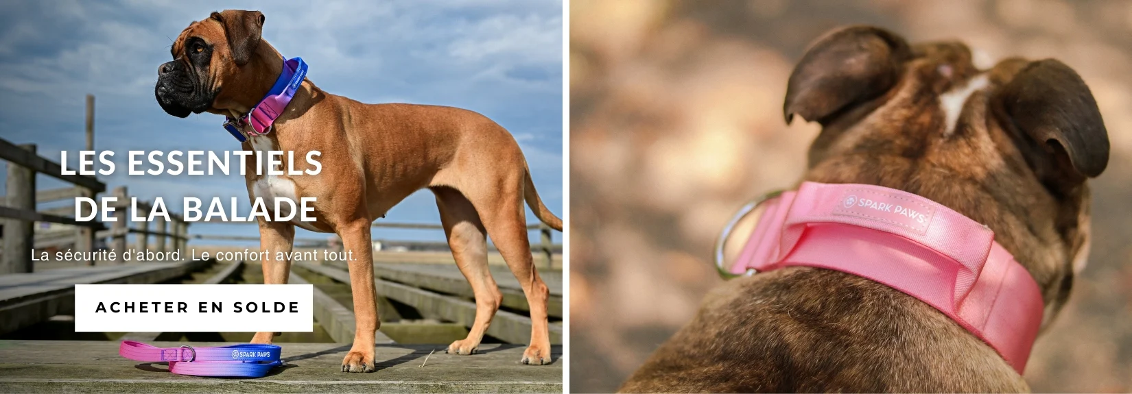 Style et Confort pour Chiens