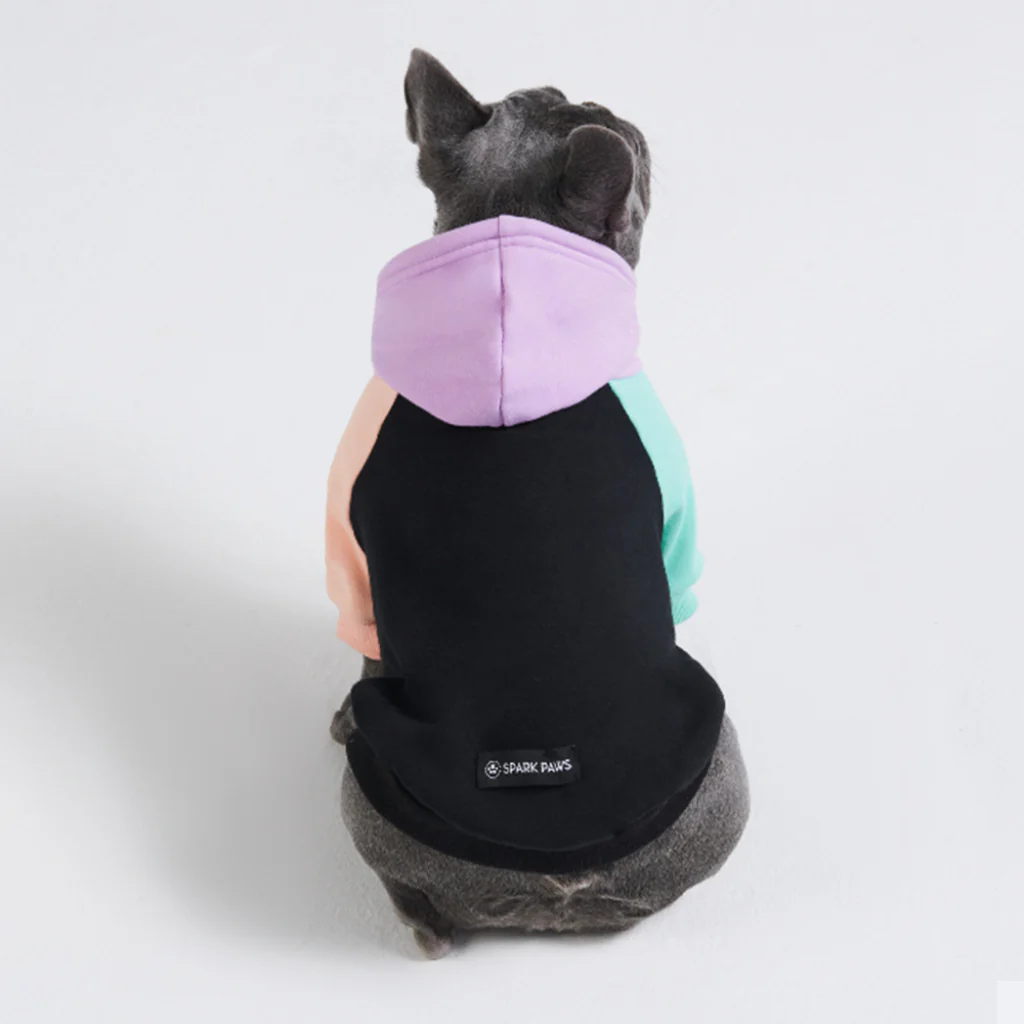 Miniature 10