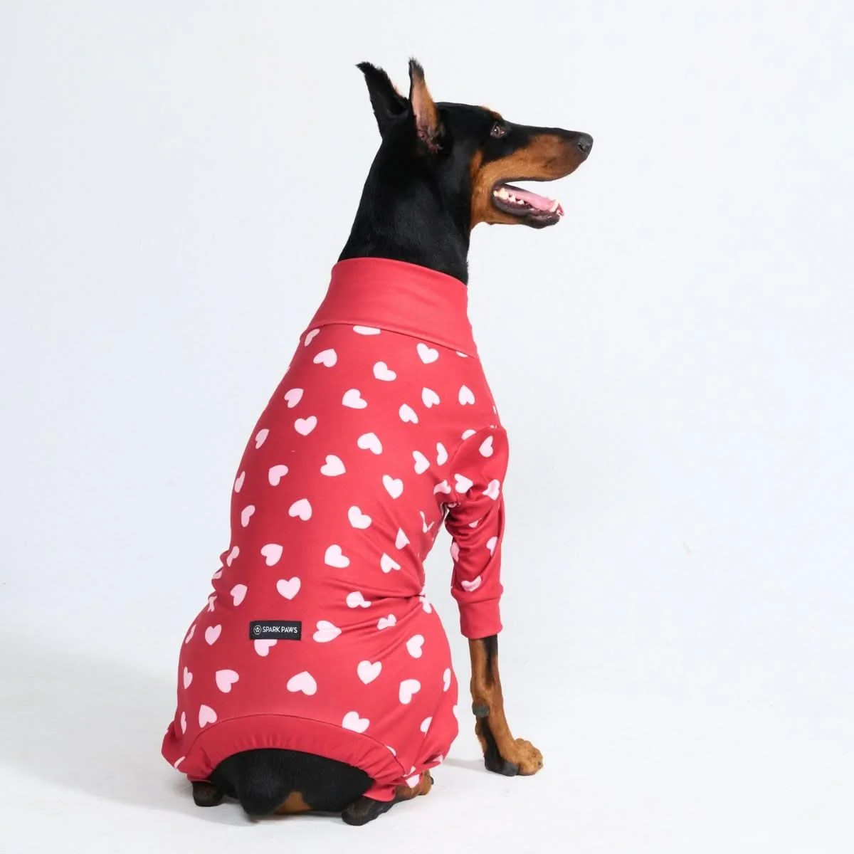 Miniature 2