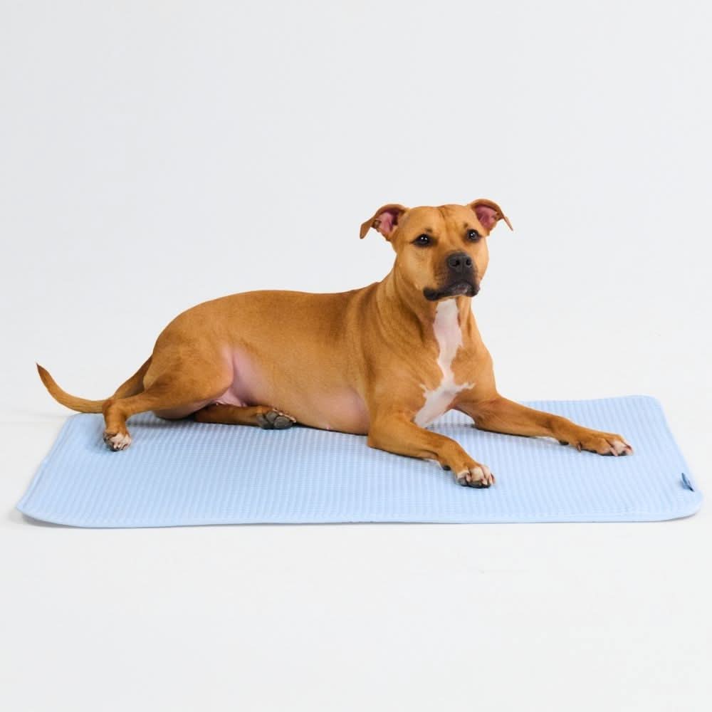 Miniature 37