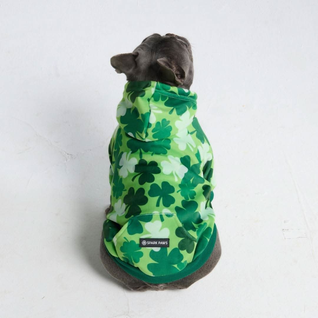 Miniature 4
