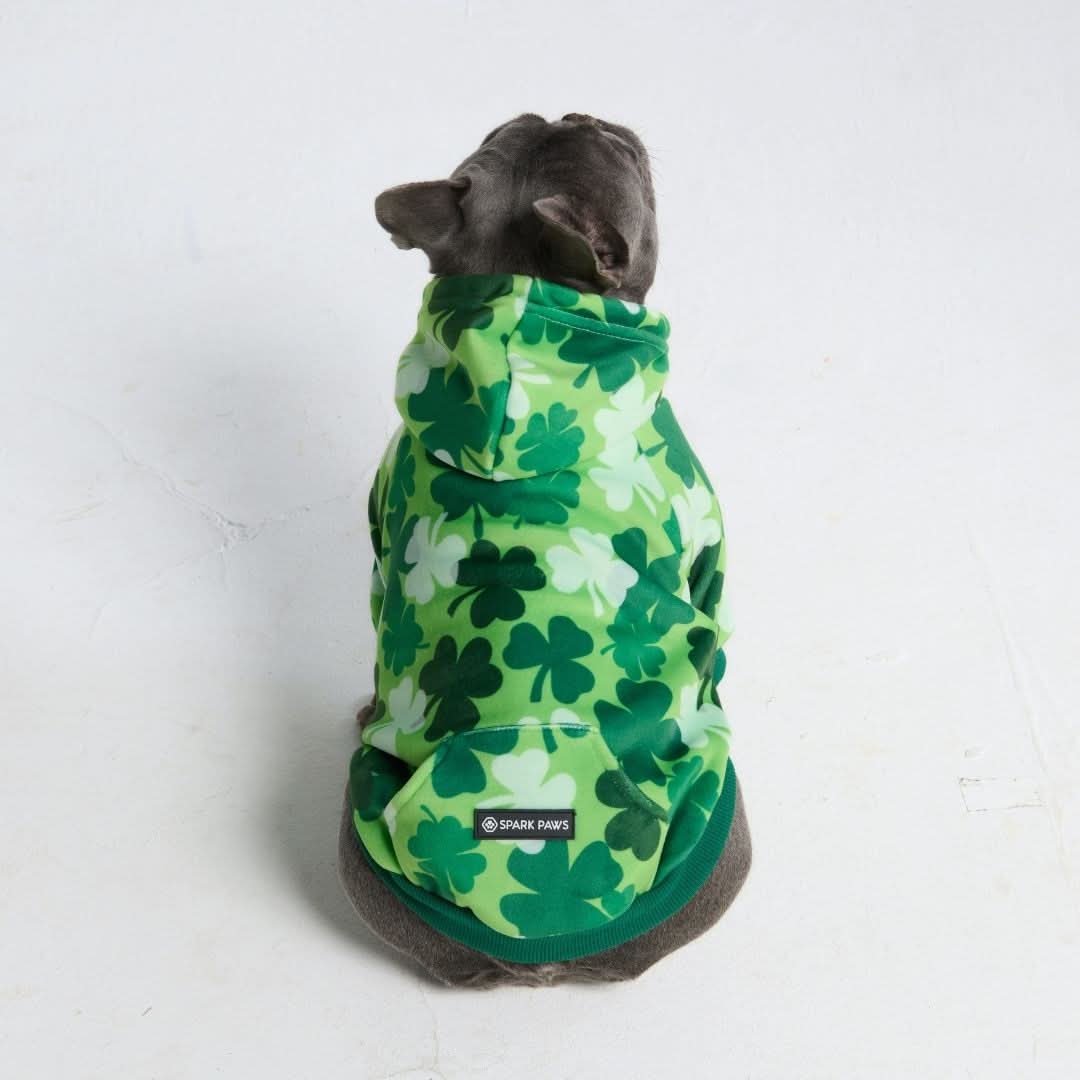 Miniature 6