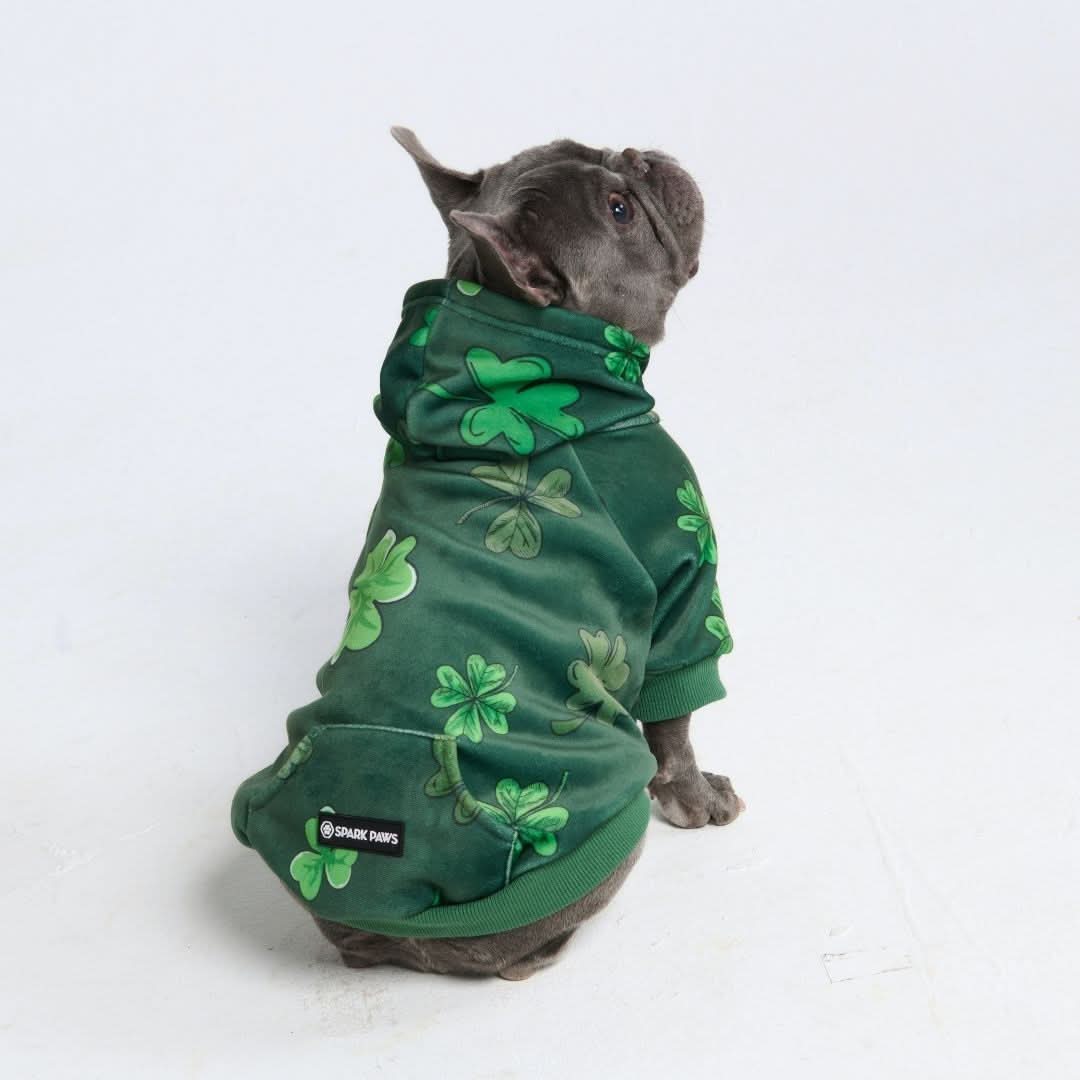 Miniature 4