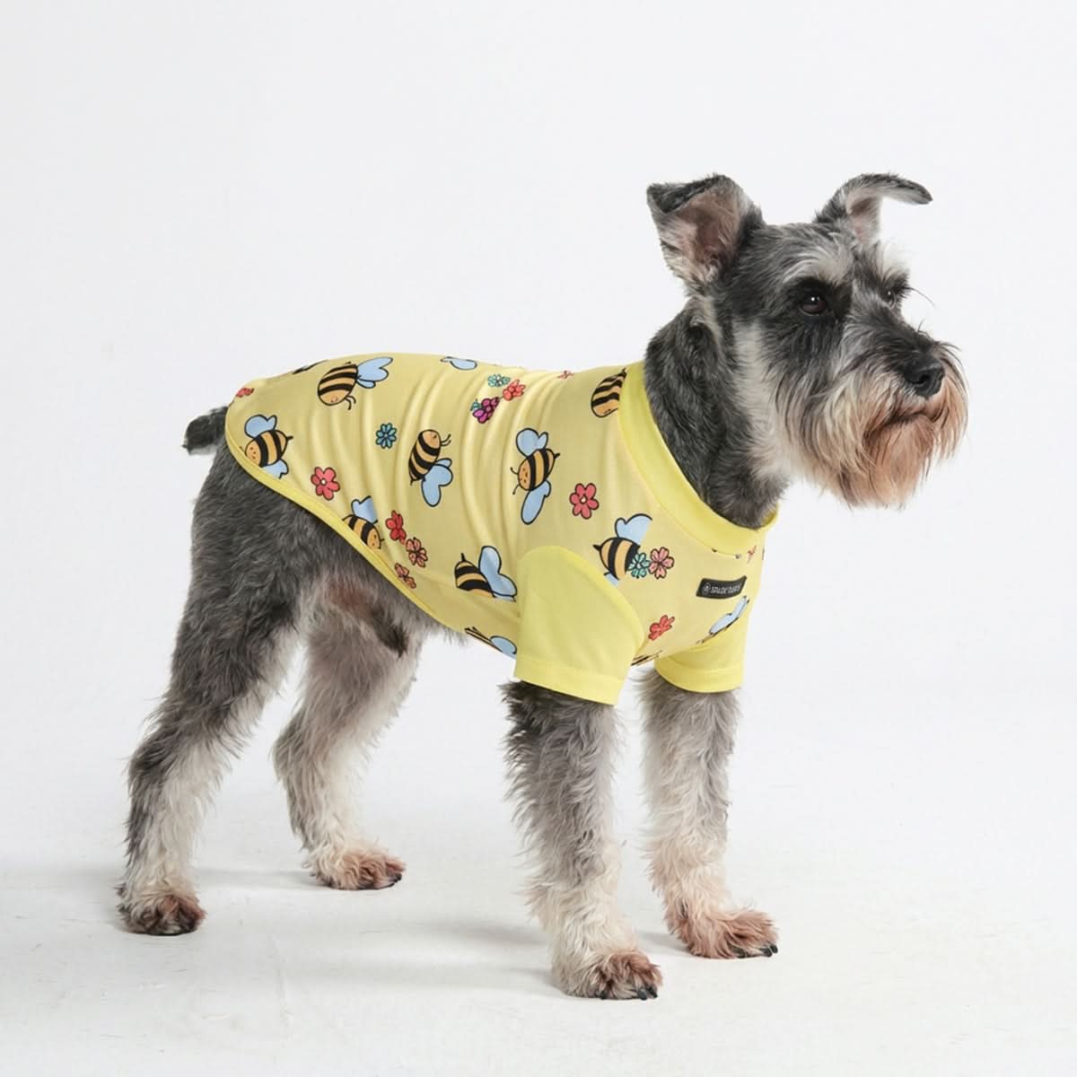 Miniature 2
