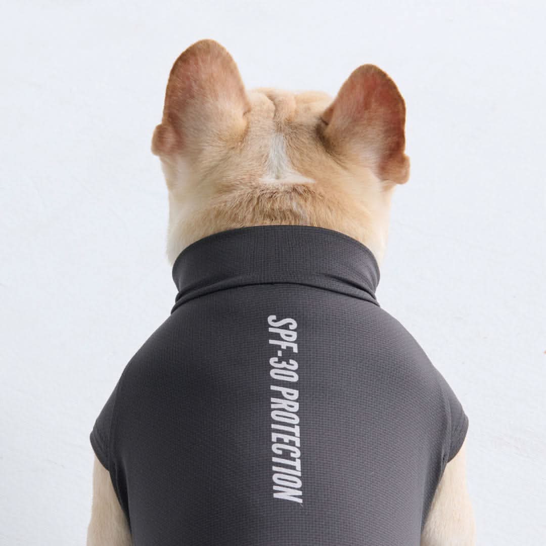 Miniature 4