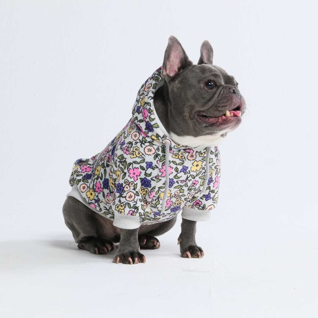 Miniature 4
